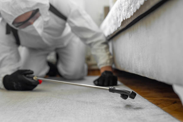 Professional Ant Control technician working in Okeechobee County County, FL
